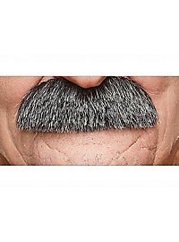 Moustache de morse