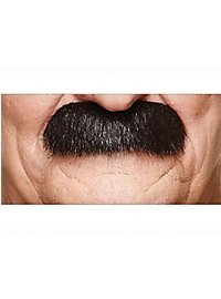 Moustache de morse
