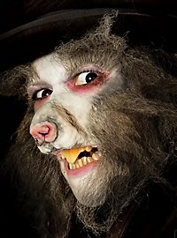 Museau de rat Application en latex