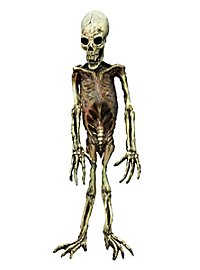 Mutant Skeleton Made of Latex