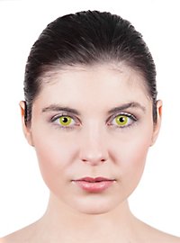 Nachtelf Contactlenzen