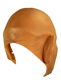 Nasty old man mask