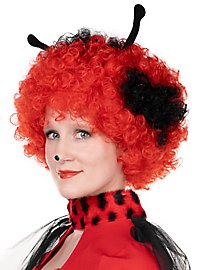 Parrucca da coccinella