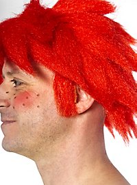 Parrucca di Pumuckl