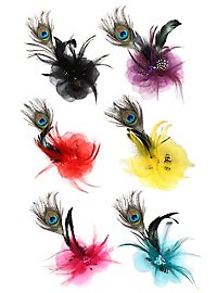 Parure de plumes de différentes couleurs