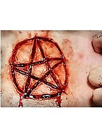 Pentagram 3D FX Transfers