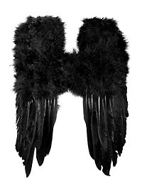 Pequeñas Alas De Plumas Negras