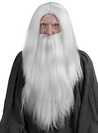 Perruque gris-blanc à cheveux longs avec barbe complète jusqu'à la poitrine