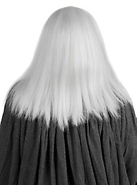Perruque gris-blanc à cheveux longs avec barbe complète jusqu'à la poitrine