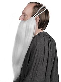 Perruque gris-blanc à cheveux longs avec barbe complète jusqu'à la poitrine