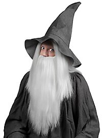 Barbe et perruque de magicien blanc