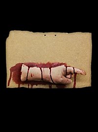 Pointing Finger Right Horror Decoration