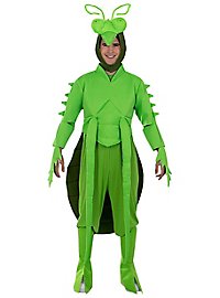 Praying mantis costume
