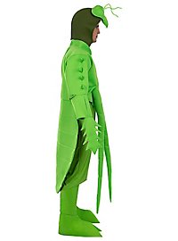 Praying mantis costume