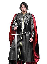 Prince Déguisement