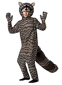 Raccoon costume