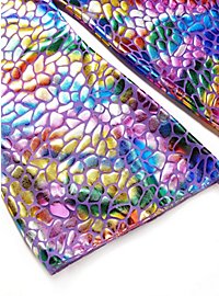 Rainbow Lizard Discokleid