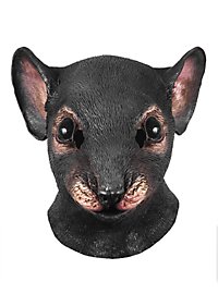 Rotte Maske Af Latex