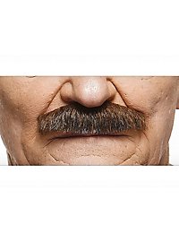 Schnauzer Mustache