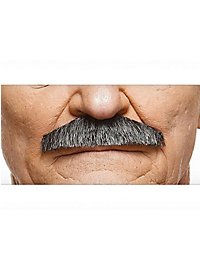 Schnauzer Mustache
