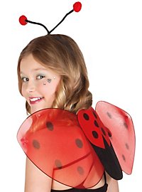 Set De Accesorios De Mariquita