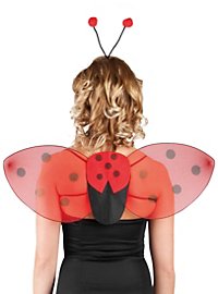 Set di accessori da coccinella