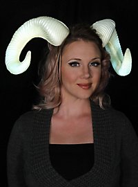 HMS unisex adult Supersoft Ram Horns Costume Headwear, Gray, One Size US :  Clothing, Shoes & Jewelry 