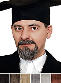 Skægsæt Professor Med Fipskæg Og Overskæg