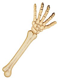 Skeleton arm
