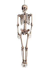 Halloween Schädel Totenkopf Skelett 13cm Deko 6er Grusel 365 