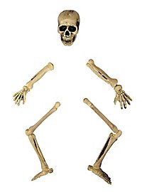 Skelett Halloween Gartendeko
