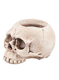 Skull Candle Holder