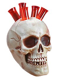 Skull Shots Halloween Decoration