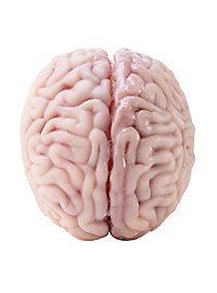 Small brain made of silicone (12 cm)