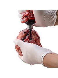 Small brain made of silicone (12 cm)