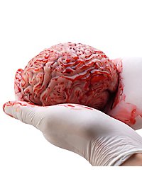 Small brain made of silicone (12 cm)