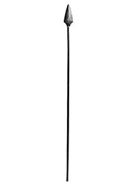 Spartan Spear