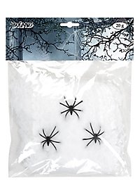 Spinnenwebben