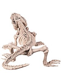 Squelette de crocodile Halloween Deko