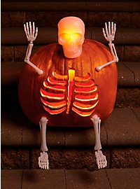 Squelette lumineux pour citrouille d'Halloween