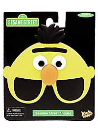 Sun Staches - Bert Party Glasses