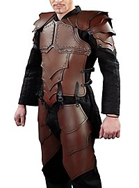 Tassettes en cuir - Monteur de dragon