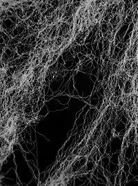 Telaraña Extensible Que Brilla En La Oscuridad