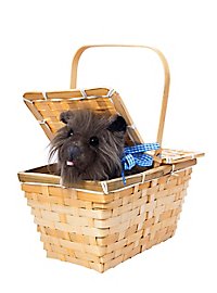Toto il terrier nella cesta