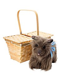 Toto il terrier nella cesta