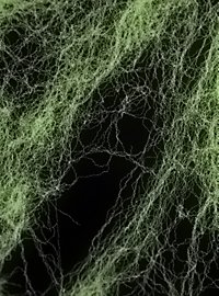 Udspændelig Glow In The Dark Edderkoppespind