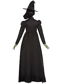 Wicked Witch witch costume