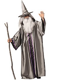 Wise Wizard Costume