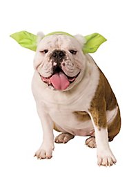 Yoda Haarreif für Hunde